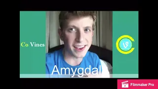 AP Psych Terms as Vines + A Tik Tok