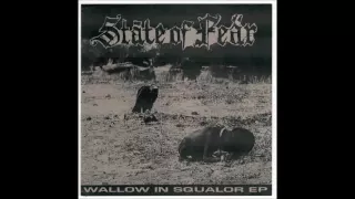 State of Fear - Wallow in Squalor - 7"