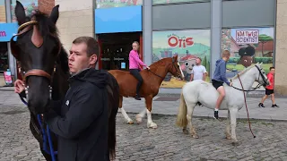 'I was coming here in me mother's stomach': Dublin horse owners protest fair restrictions