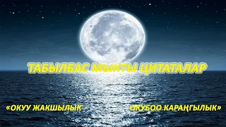 Табылбас мыкты цитаталар. Сизди таң калтыра турган даанышман сөздөр.