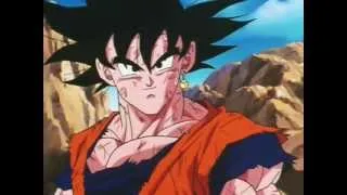 La Fusione tra Goku e Vegeta nasce Vegekuo