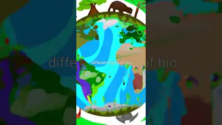 What are the different types of biomes?