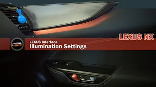 2022 Lexus NX - Lexus Interface - Illumination Settings