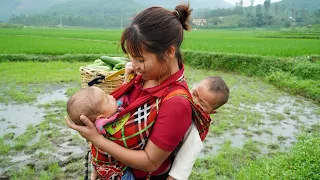 The warmth of a single mother for her two children, Harvest cucumber goes to market sell, Cooking