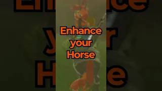 How to ENHANCE YOUR HORSE in Tears of the Kingdom!