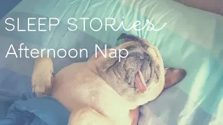 Calm Sleep Stories | Afternoon Nap | Trailer