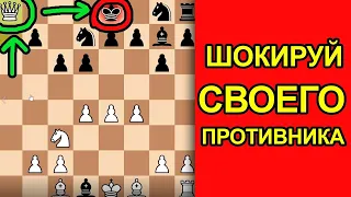 НЕ РАССКАЗЫВАЙ НИКОМУ ПРО ЭТУ ЛОВУШКУ. НОВАЯ СЕКРЕТНАЯ ЛОВУШКА В ДЕБЮТЕ. Шахматы