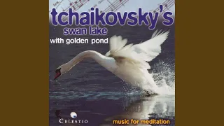 Spanish Dance - Spanischer Tanz - Schwanensee (P.I. Tchaikovsky / Ballet Suite From Swan Lake,...