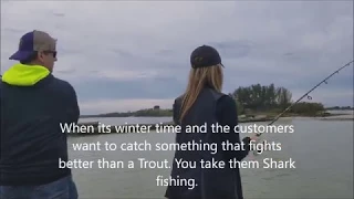 Winter Time Fishing for Sharks in Tampa Bay