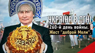 Жест "доброй Моли". Вторжение России в Украину. День 260-й