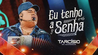 EU TENHO A SENHA - Tarcísio do Acordeon (DVD Meu Sonho)