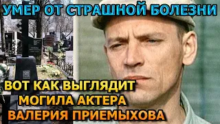 ЖУТКОЕ ЗРЕЛИЩЕ! Вот как выглядит могила Валерия Приемыхова