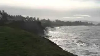 Tsunami video in Crescent City, water rises over 7 feet in minutes