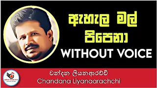 Ahala Mal Pipena Karaoke - Chandana Liyanaarachchi | Sinhala Karaoke | Sinhala Karaoke without voice