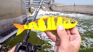 Swimbait Fishing For Spillway BEASTS!