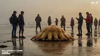 Strange Beach Animals & Imagined Creatures - Dark Ambient Sci-Fi Horror Soundscapes [1 HOUR]