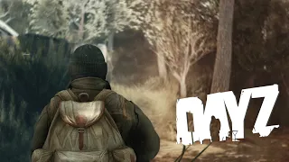 Рейд и выселение стримснайпера с базы - DayZ Movie