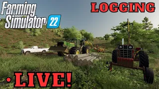 Skidder Farmall And Truck To Log This HUGE Area Farming Simulator 22 FS 22