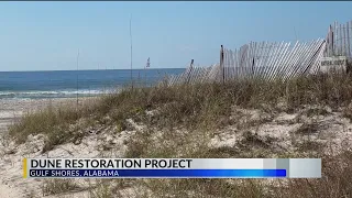 Gulf Shores students help protect coast with restoration project