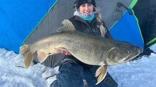 Massive Lake Trout Ice Fishing!