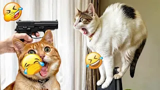 Try Not To Laugh😋😻Funniest Cats and Dogs 2024 🤣