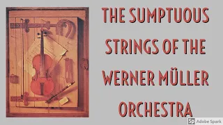 Werner Müller - Gypsy Violins