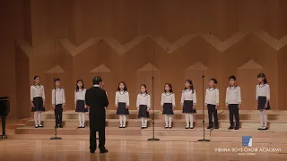 Edelweiss(사운드오브뮤직OST) 빈소년합창단음악원 Vienna Boys Choir Academy