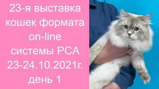 23-я выставка породистых кошек PCA 23-24.10.2021г День 1