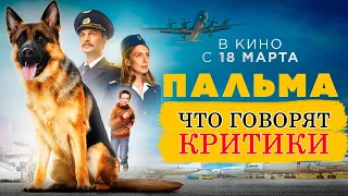 Пальма (2021) - Обзор критики фильма