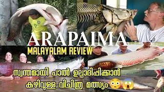 Arapima malayalam review