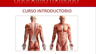 Curso Introductorio de Anatomía Pedagógica