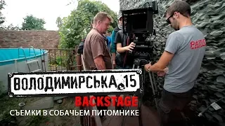 Владимирская 15. Backstage. Съемки в собачьем питомнике.