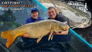 Coldwater Feeder Fishing for Carp part 28. – Method Fishing for Catfish with Big Carps
