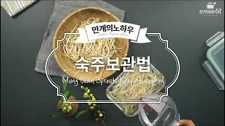 숙주보관법 어떻게할까요? [만개의노하우]