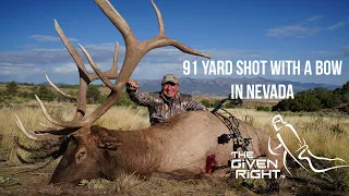 91 YARD SHOT ON A GIANT NEVADA BULL
