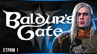 Её ждали 23 года | Baldur’s Gate 3 | Часть#1