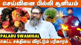 செய்வினையை முறிக்கும் மருதாணி பரிகாரம் ! - ALP Palaru Swamigal | Seivinai Neekuvathu Eppadi