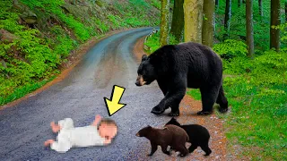 Мужчина выбросил сына на дорогу, а медведь совершил нечто невероятное!