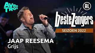 Jaap Reesema - Grijs | Beste Zangers 2022