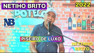 VAI SAUDADE NETINHO BRITO PISEIRO DE LUXO NO BOTECO 2022