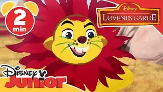 Løvenes garde | Løveforkledningen 🦁 - Disney Junior Norge
