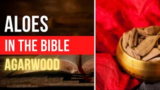 Aloes | Oils in the Bible | Agarwood Oil | Oud