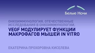 VEGF модулирует функции макрофагов мышей in vitro