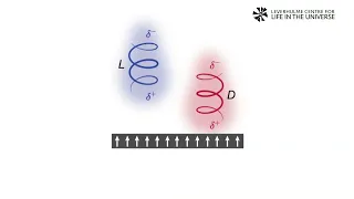 Furkan Öztürk | A new spin on the origin of biological homochirality