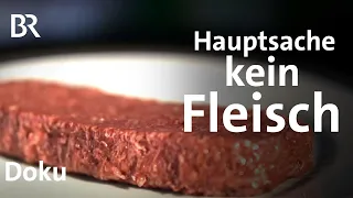 Hauptsache kein Fleisch: Was bringen Veggie-Burger & Co? | DokThema | Doku | Fleischalternativen |BR