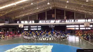 Grade 10 Crusaders - 2nd Runner Up - SJI Mass Cheerdance S.Y. 2015-2016