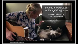 "Love is a Wild Thing" - Kacey Musgraves (Acoustic Cover)