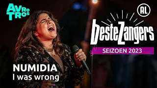 Numidia - I was wrong | Beste Zangers 2023