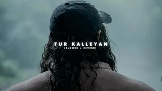 Tur Kalleyan ( Perfectly Slowed ) - Laal Singh Chaddha
