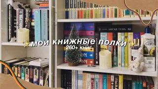 МОИ КНИЖНЫЕ ПОЛКИ 2024 || 260+ КНИГ 🤯 || ti delly